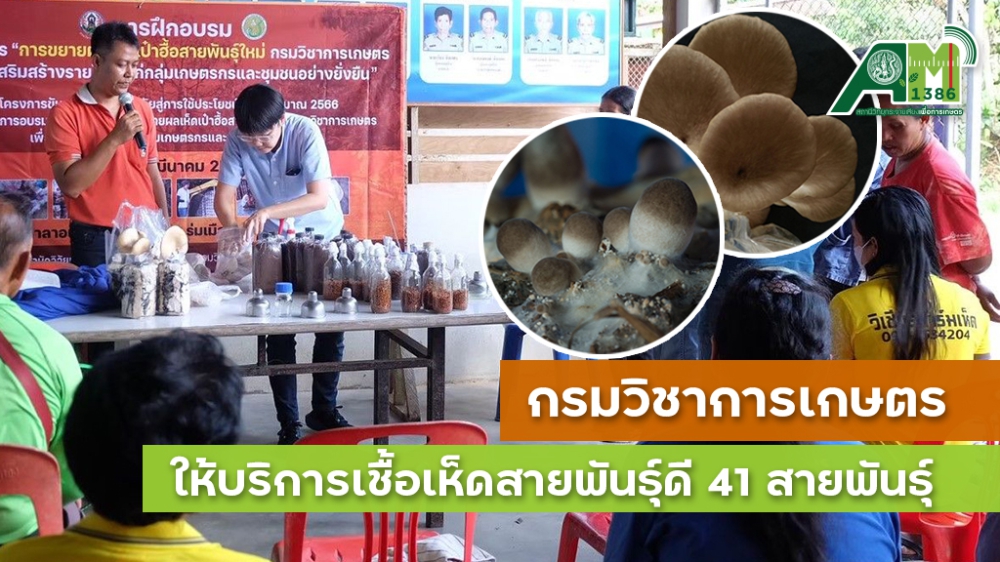 ศูนย์รวบรวมเชื้อพันธุ์เห็ดแห่งประเทศไทย