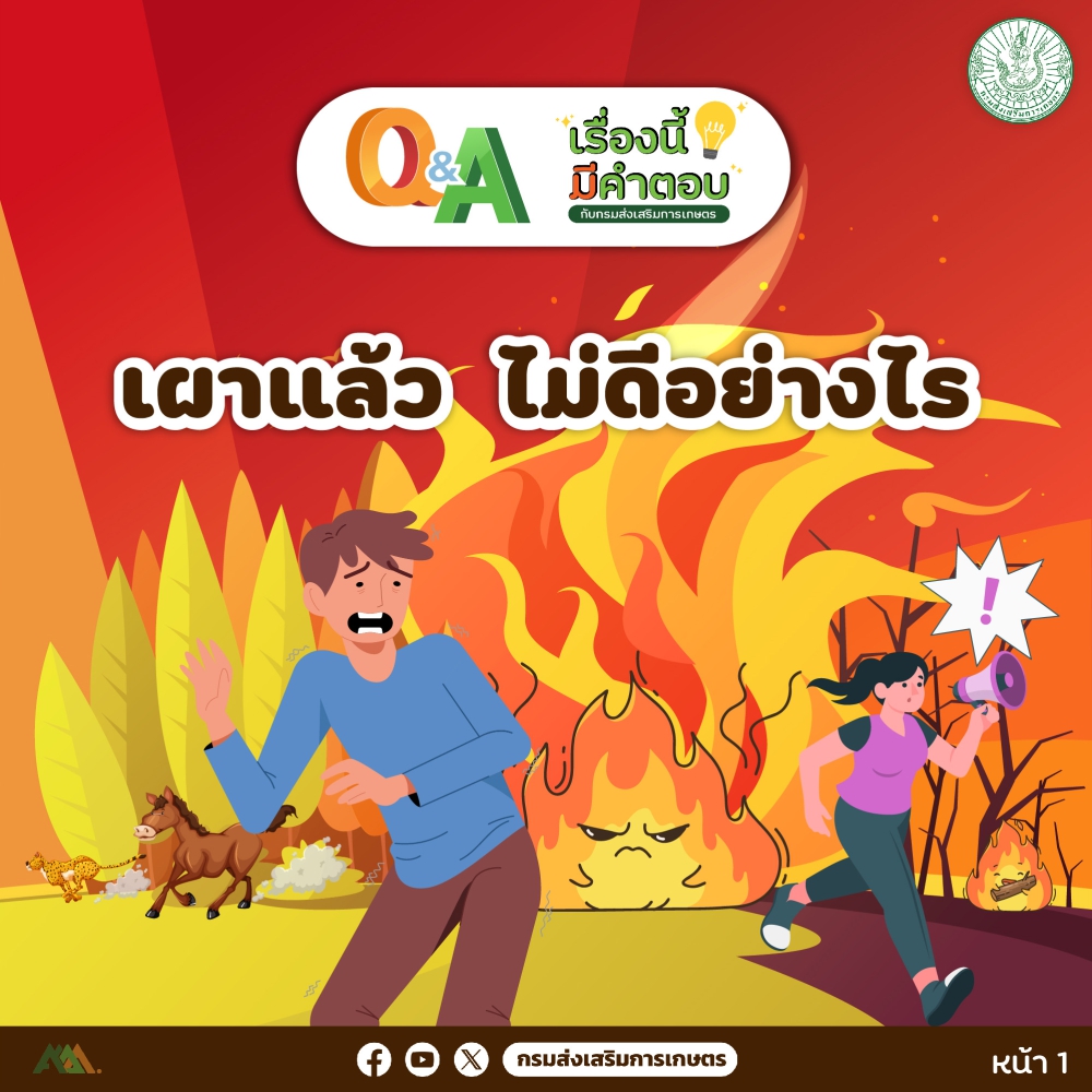 งดเผาในพื้นที่เกษตรเพราะการเผาเป็นพิษภัยมหันต์