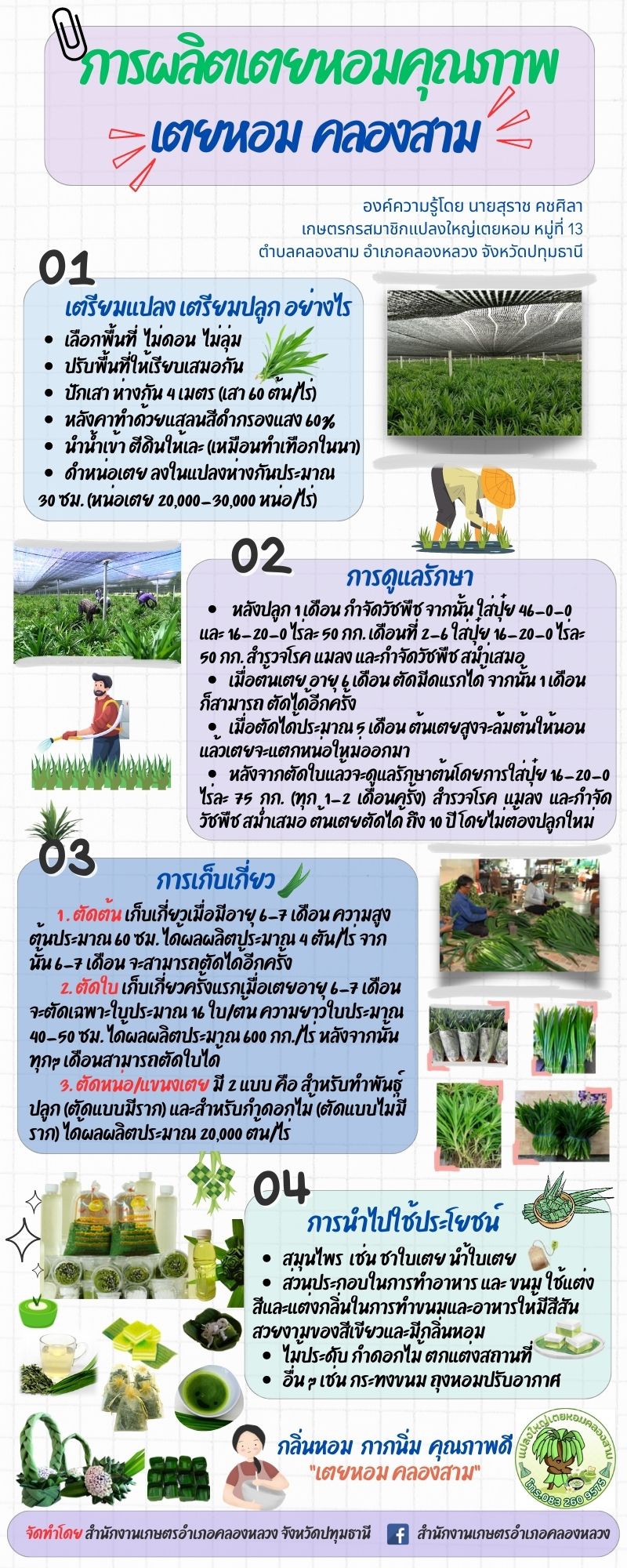 การผลิตเตยหอมคุณภาพ