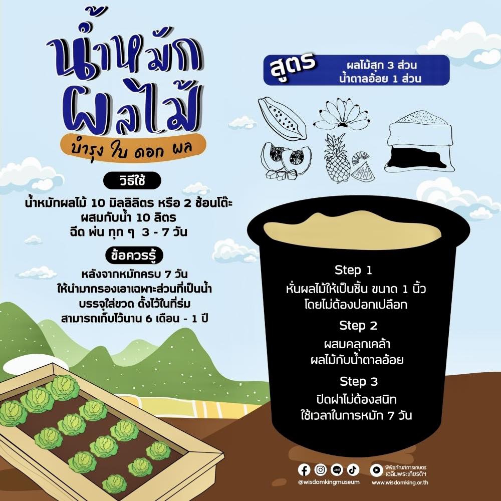 น้ำหมักผลไม้ บำรุง ใบ ดอก ผล