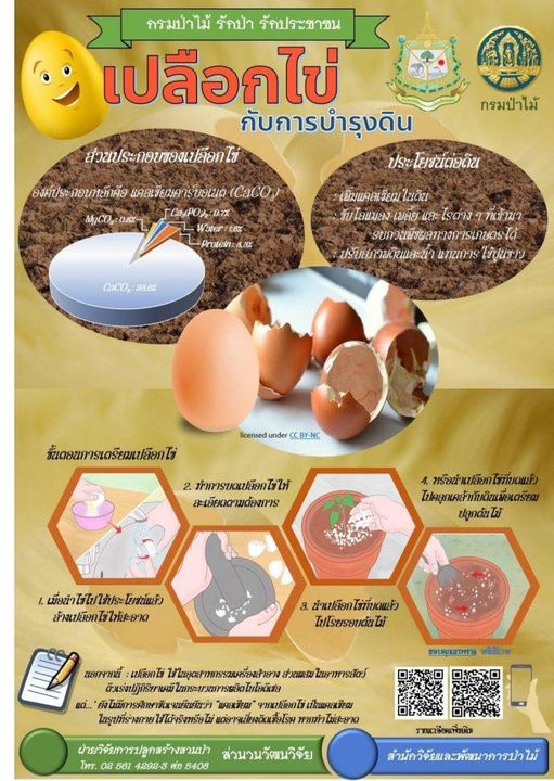 ประโยชน์ของเปลือกไข่ ในการบำรุงดิน