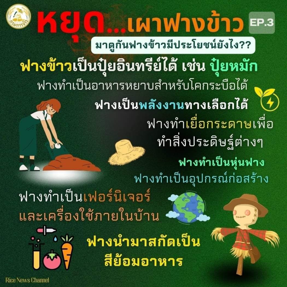 บทความด้านการเกษตร