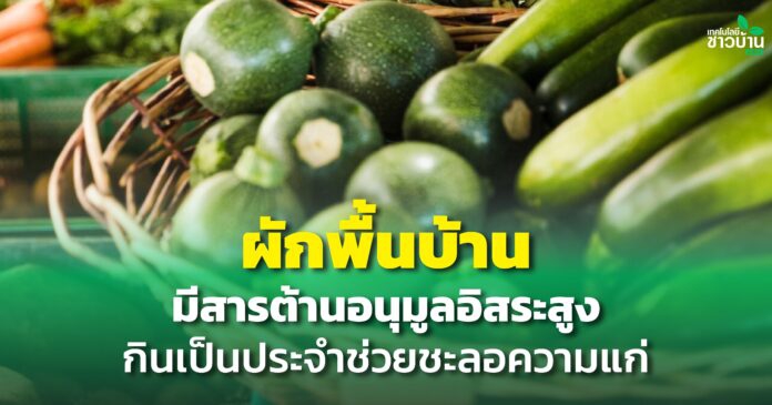 ผักพื้นบ้านมีสารต้านอนุมูลอิสระสูง