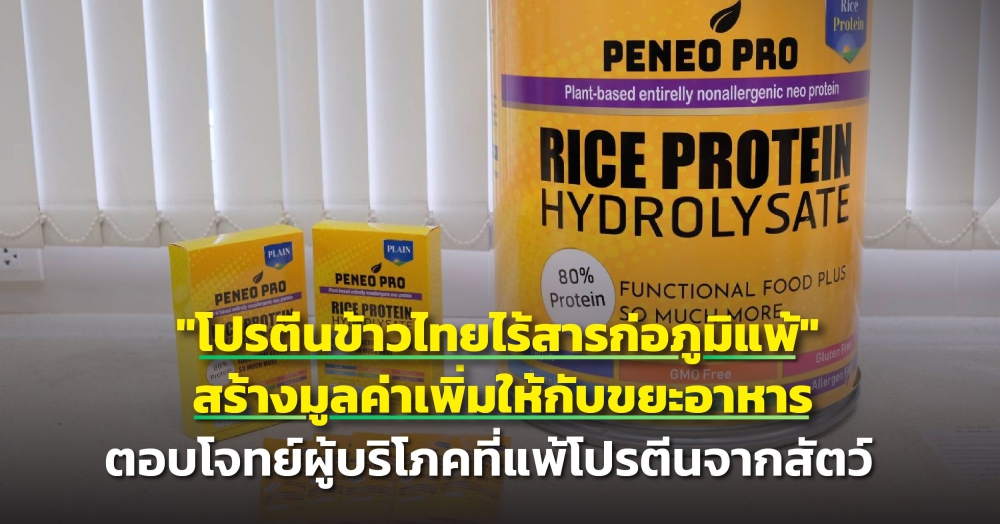 โปรตีนข้าวไทยไร้สารก่อภูมิแพ้