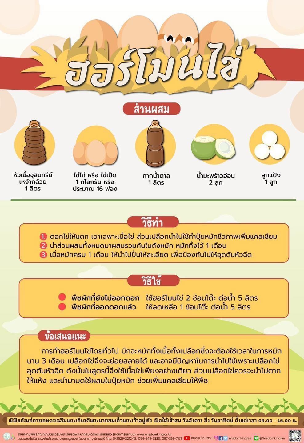 ฮอร์โมนไข่ที่ช่วยในการเจริญเติบโตของพืช