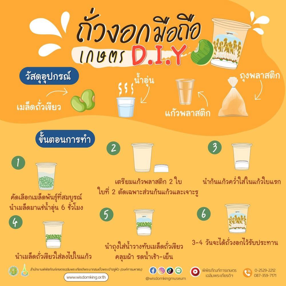ถั่วงอกมือถือเกษตร D.I.Y.