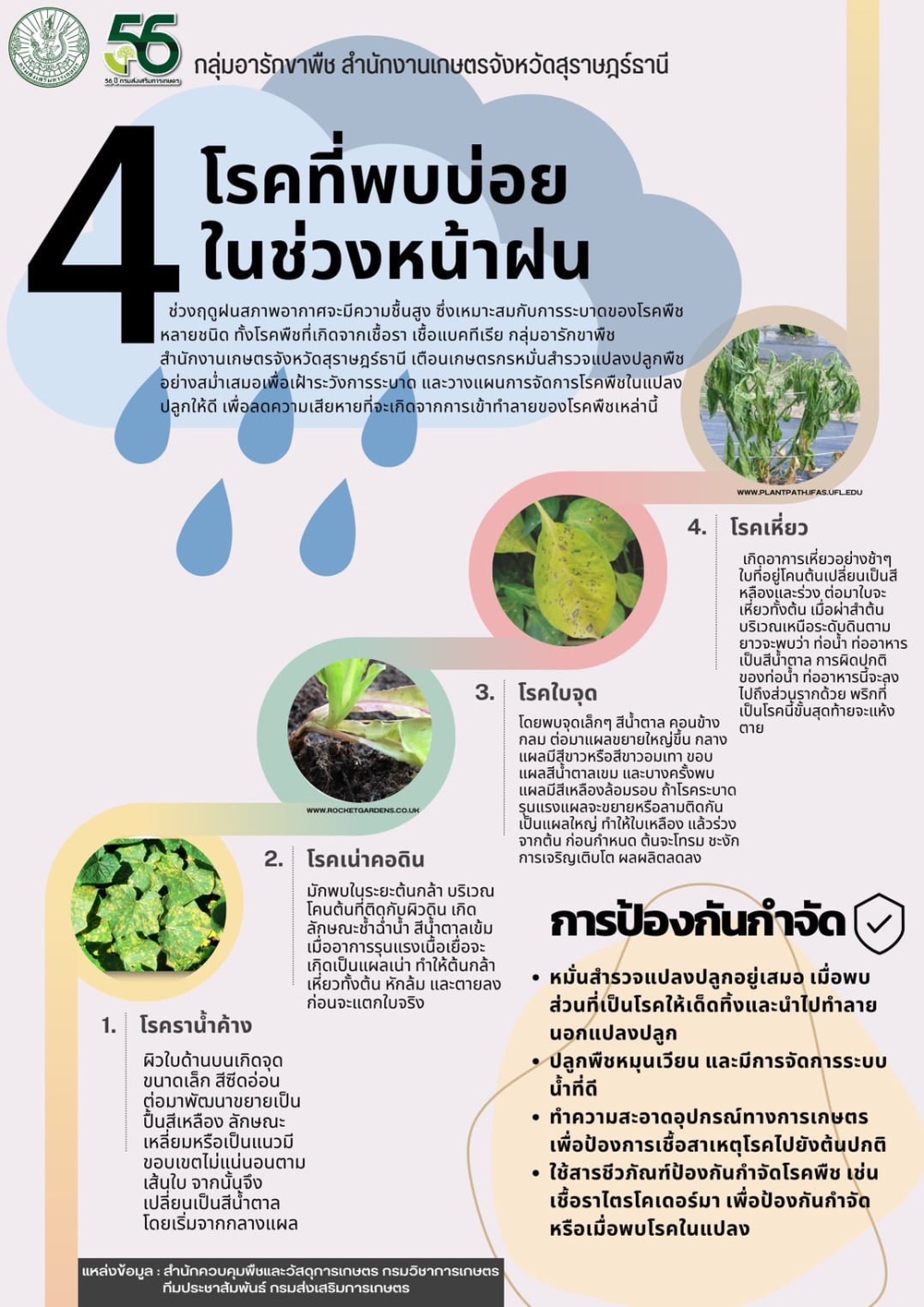 4โรคที่พบบ่อยในช่วงหน้าฝน