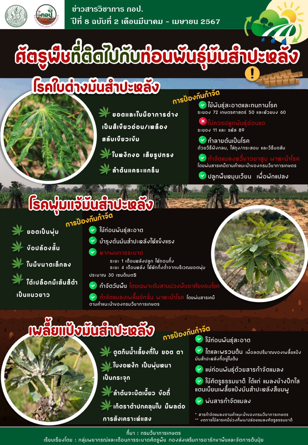 ศัตรูพืชมันสำปะหลัง