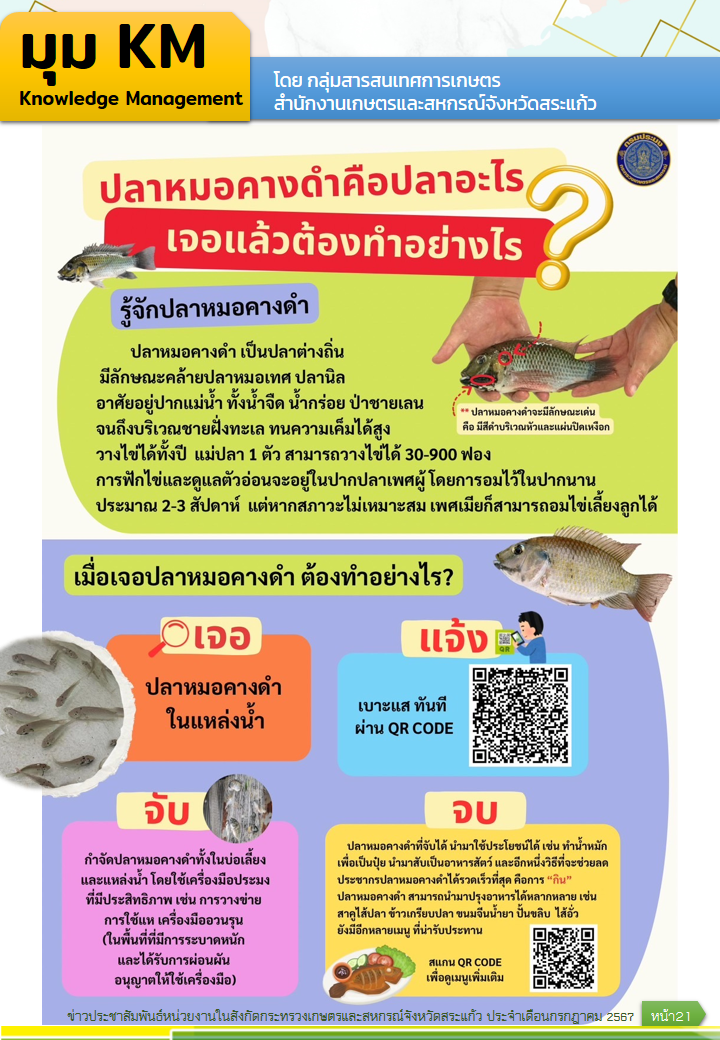 รู้จักปลาหมอคางดำ