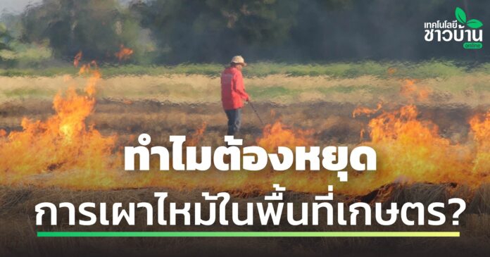 ทำไมต้องหยุดการเผาในพื้นที่การเกษตร?