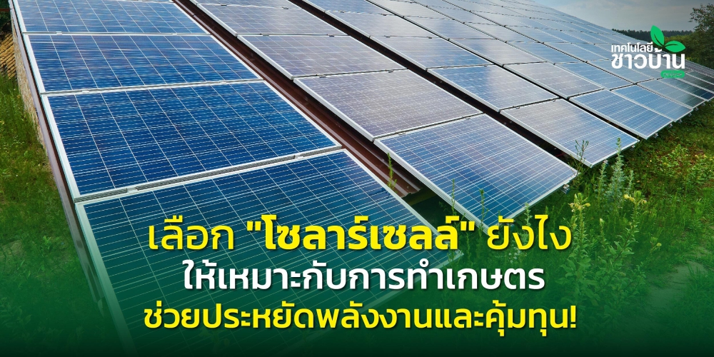 เกษตรกรต้องรู้เลือกโซลาร์เซลล์ยังไงให้เหมาะกับการทำเกษตร
