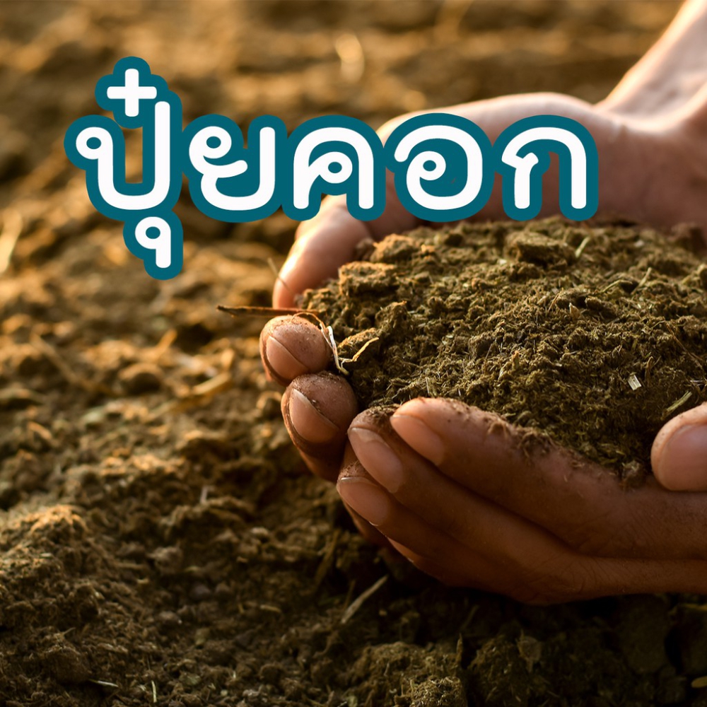 “ปุ๋ยคอก” ในมูลสัตว์มีประโยชน์ต่อพืชผักในสวน