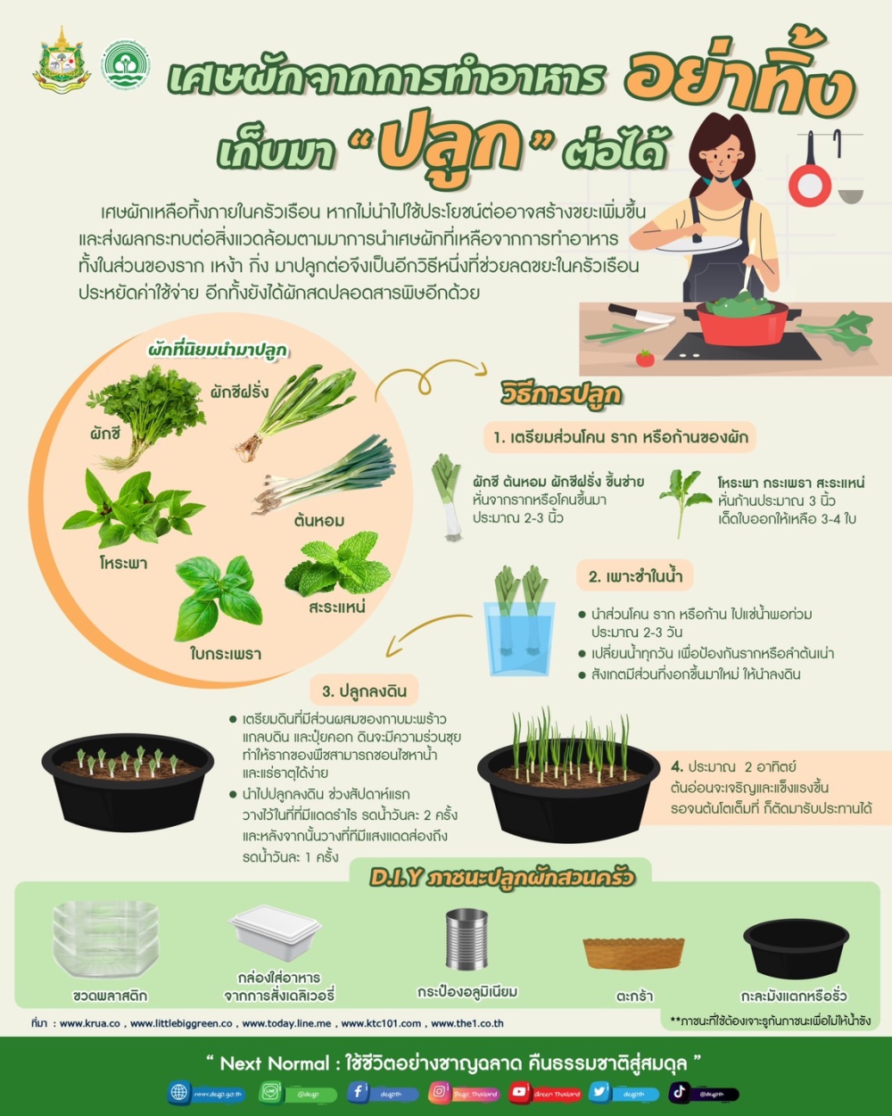 วัตถุดิบจากพืชผักสวนครัวชนิดต่างๆ นำมาปลูกได้