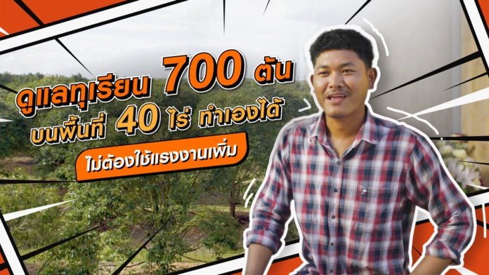 ทำได้ไง!!!ดูแลทุเรียน700ต้นบนพื้นที่40ไร่