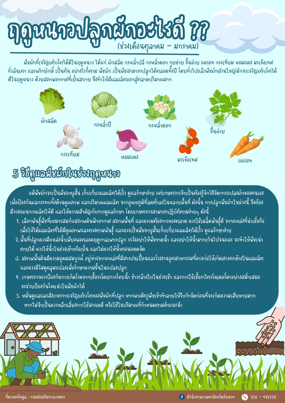 ฤดูหนาวปลูกผักอะไรดี?
