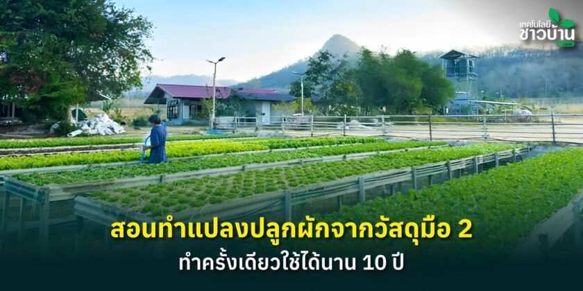 ทำแปลงปลูกผักจากวัสดุมือ 2 ทำครั้งเดียวใช้ได้นาน 10 ปี