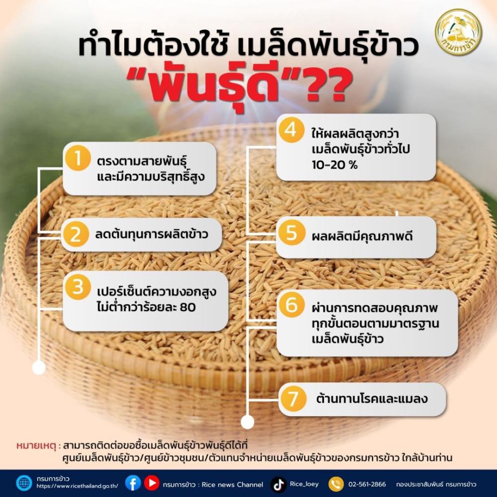 ทำไมต้องใช้เมล็ดพันธ์ุข้าวพันธ์ุดี