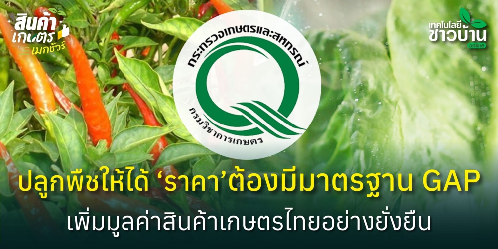 ปลูกพืชให้ได้ราคา