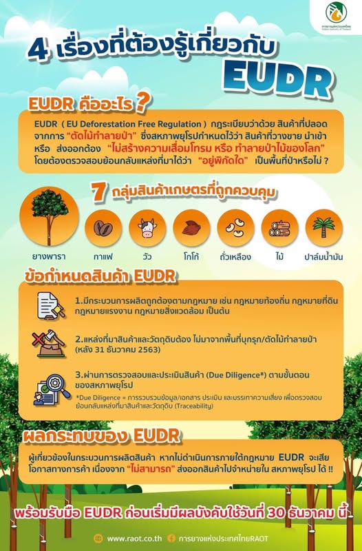 4 เรื่องที่ต้องรู้เกี่ยวกับ EUDR