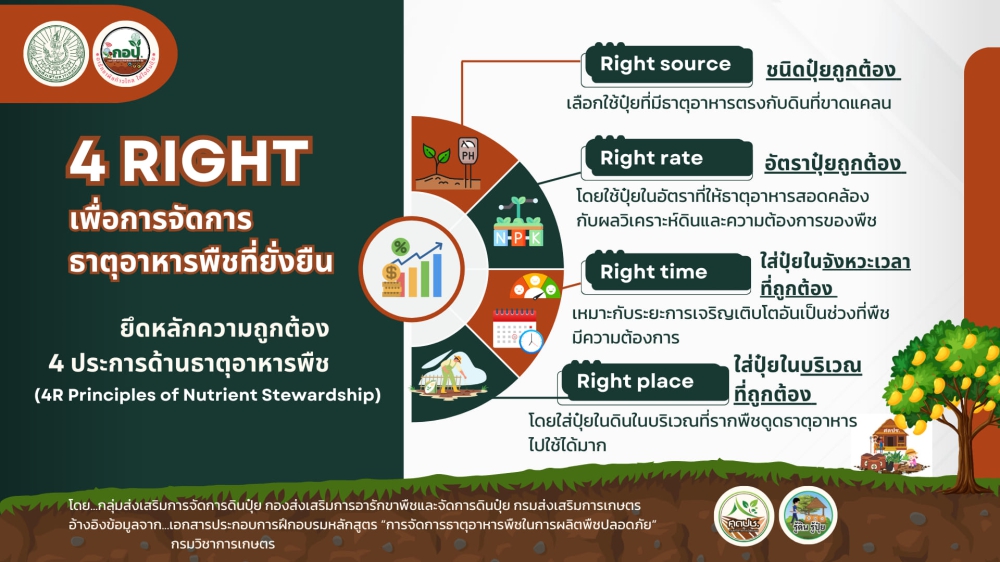4 RIGHT เพื่อการจัดการธาตุอาหารพืชที่ยั่งยืน