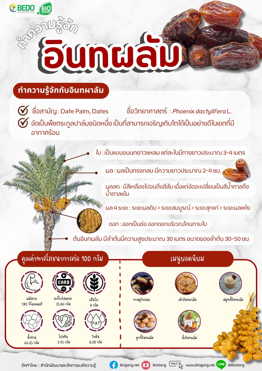 ทำความรู้จัก “อินทผลัม”