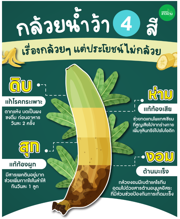 กล้วยเป็นผลไม้ยอดนิยมที่อุดมไปด้วยคุณค่าทางโภชนาการ