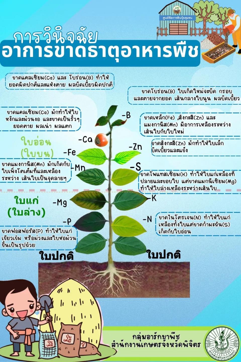 การวินิจฉัยอาการขาดธาตุอาหารพืช