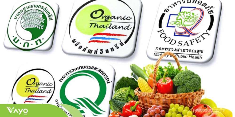 เกษตรอินทรีย์คืออะไรเกษตรสายธรรมชาติ