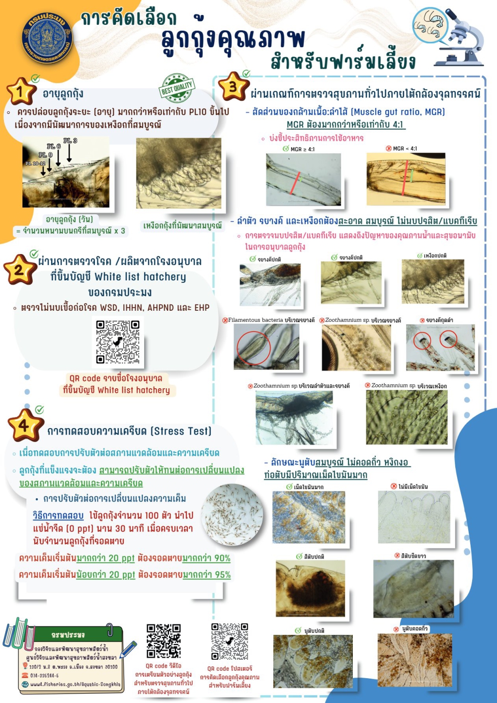 การคัดเลือกคุณภาพลูกกุ้ง สำหรับฟาร์มเลี้ยง