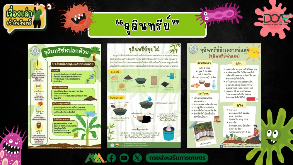 เรื่องเล่าเช้าวันจันทร์ จุลินทรีย์