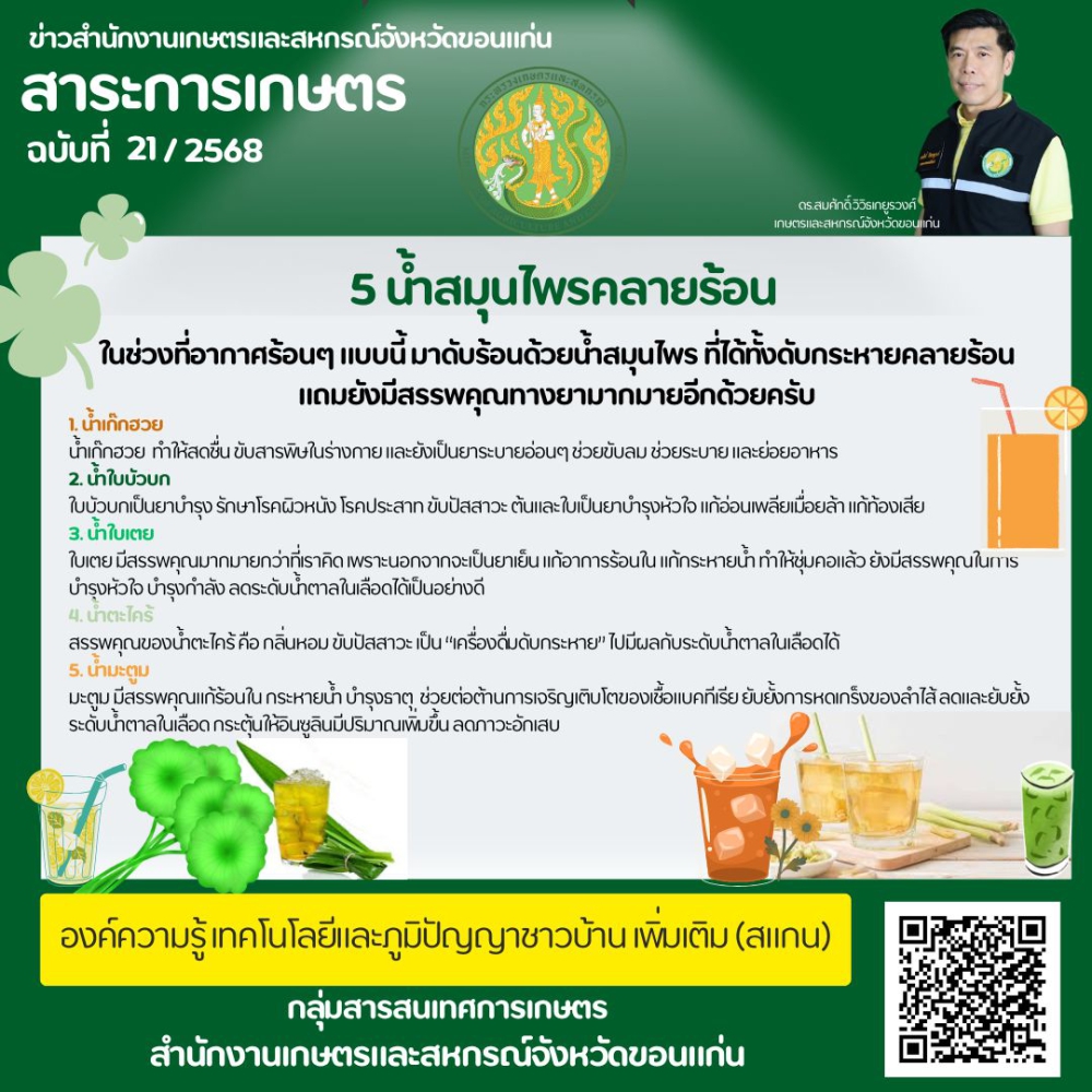 5 น้ำสมุนไพรคลายร้อน