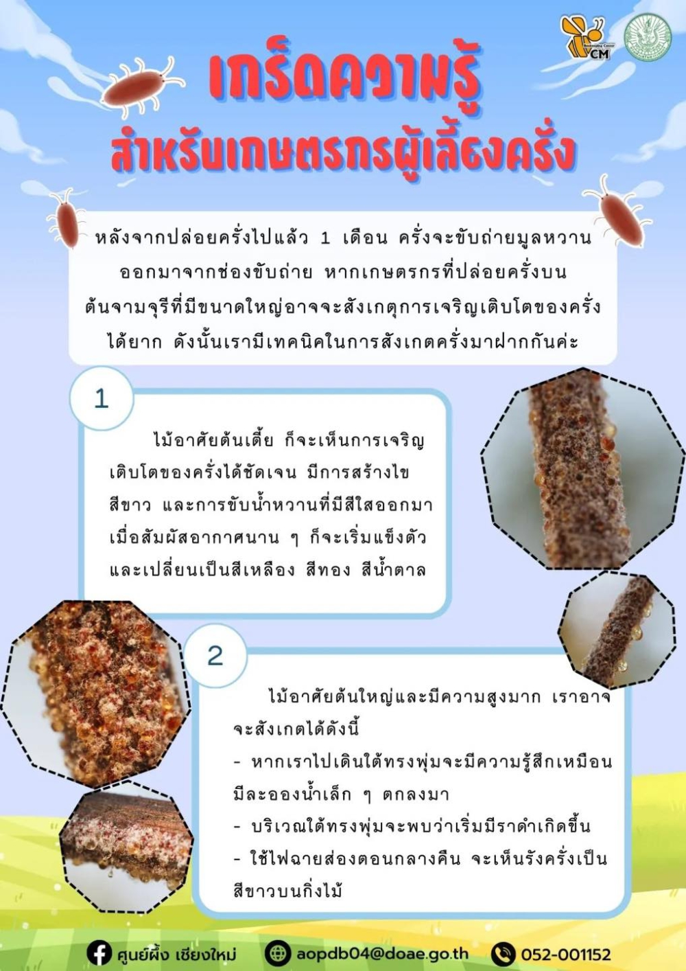 เกร็ดความรู้ สำหรับเกษตรกรผู้เลี้ยงครั่ง