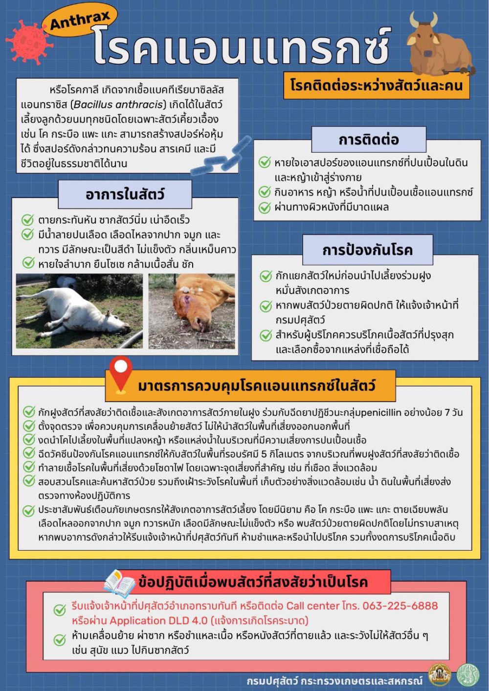 โรคแอนแทรกซ์(Anthrax)เป็นโรคสัตว์ติดต่อระหว่างสัตว์และคน