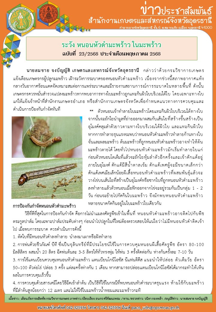 เตือนภัยเกษตรกร ระวัง หนอนหัวดำมะพร้าว