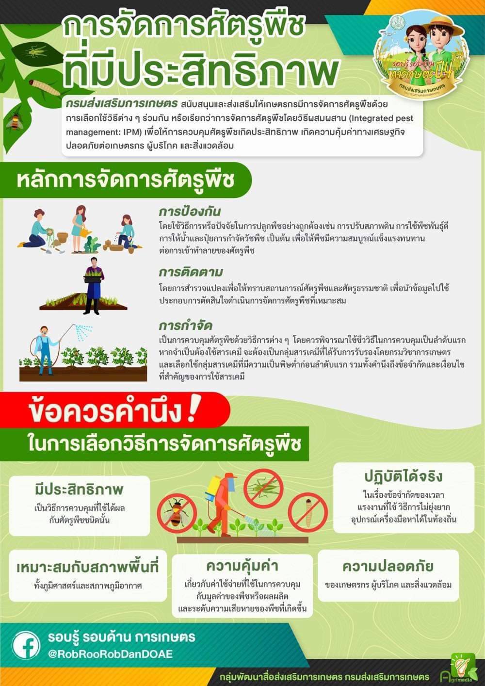 การจัดการศัตรูพืช ที่มีประสิทธิภาพ