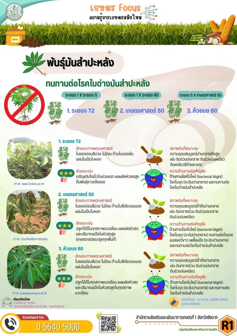 พันธุ์มันสำปะหลังทนทานต่อโรคใบด่างมันสำปะหลัง