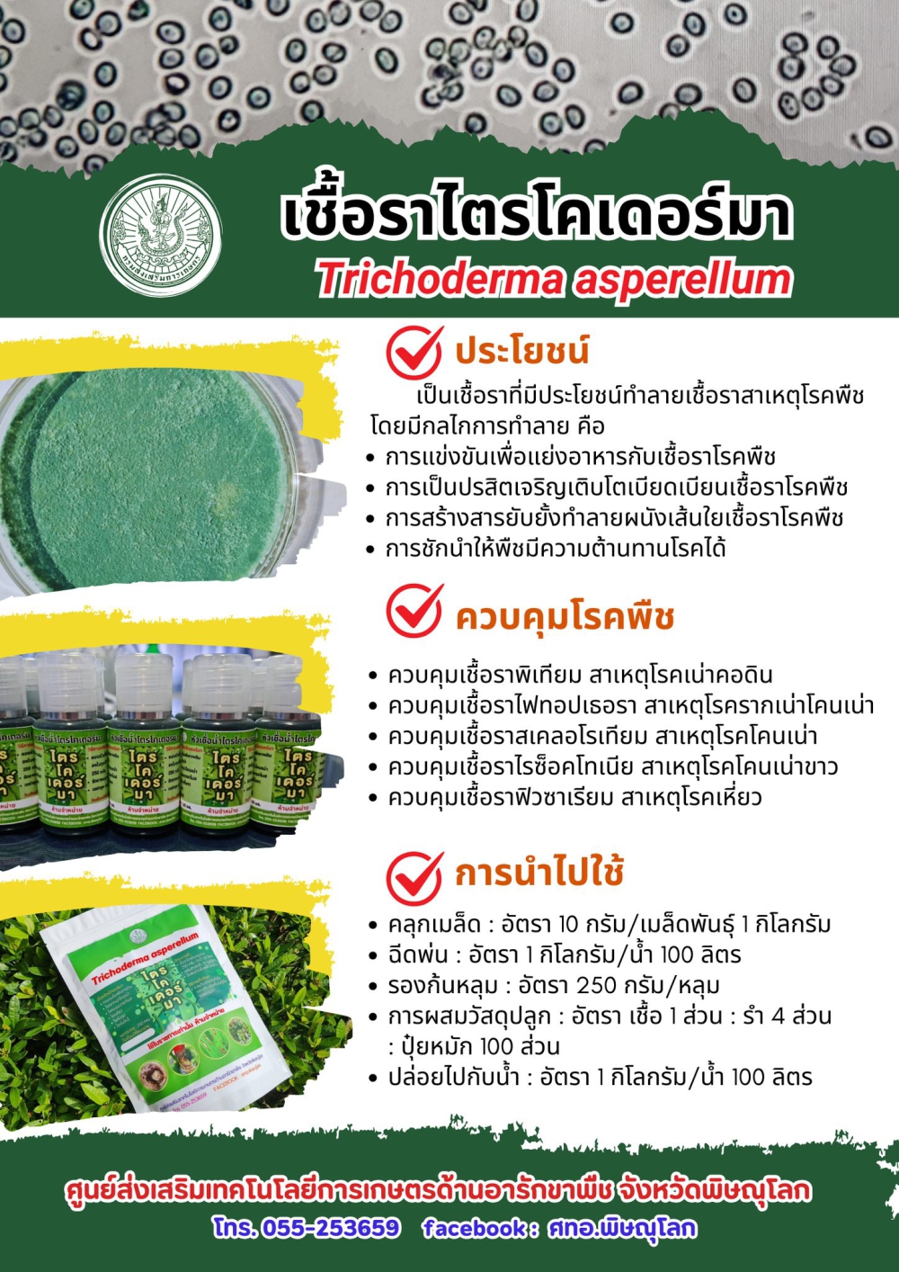 เชื้อราไตรโคเดอร์ม่า