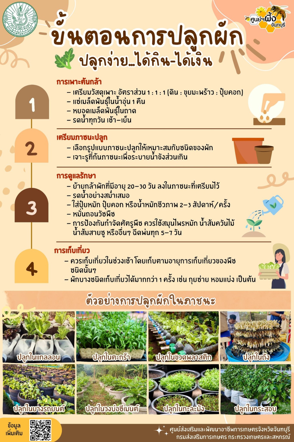 ขั้นตอนการปลูกผัก ปลูกง่าย ได้กิน ได้เงิน