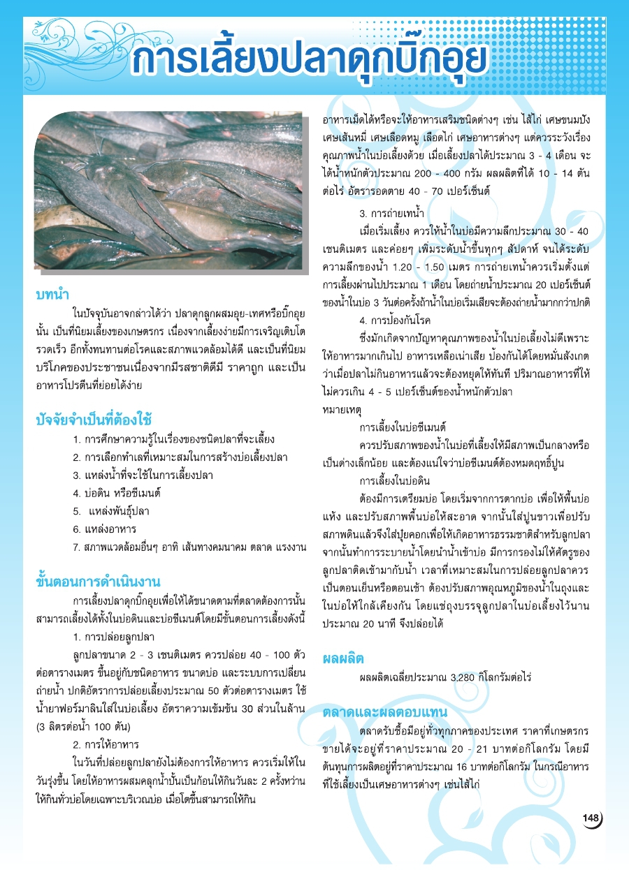 การเลี้ยงปลาดุกบิ๊กอุย
