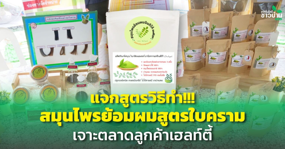 ต้นครามพบได้ตามป่าโปร่งทางภาคอีสานและภาคเหนือ