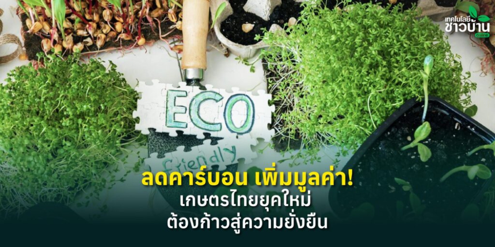 ลดคาร์บอนเพิ่มมูลค่า!เกษตรไทยยุคใหม่