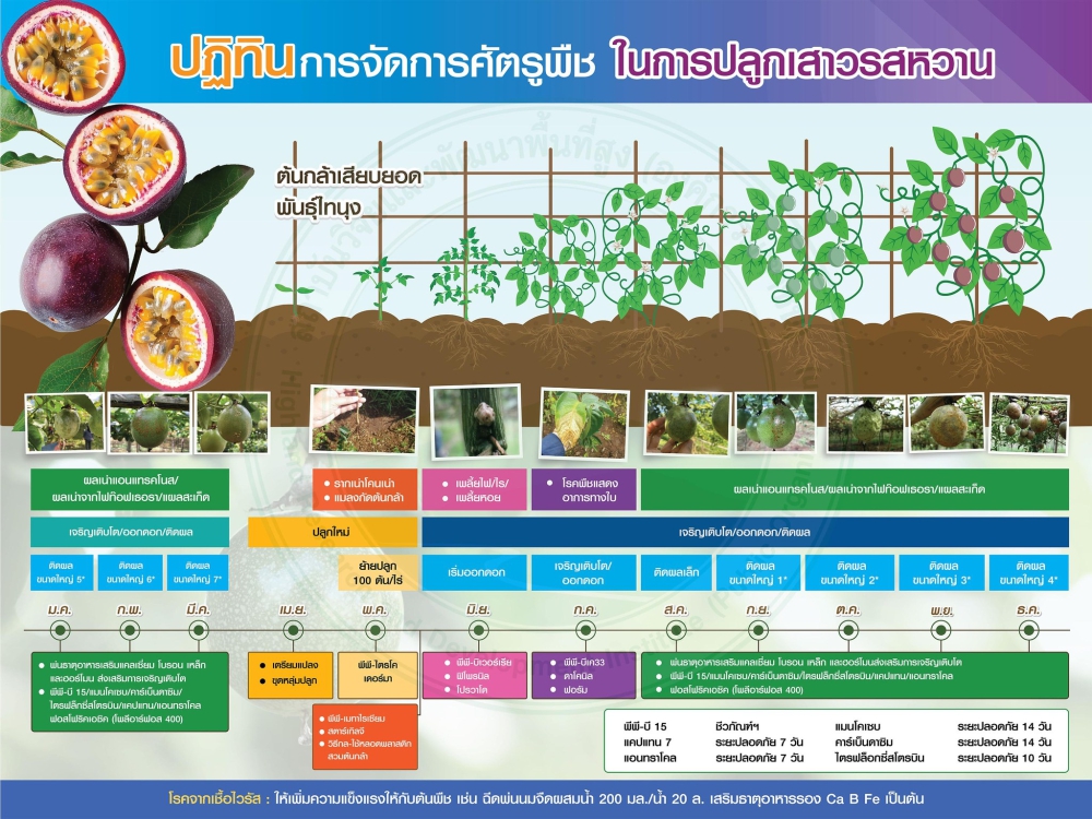 ปฏิทินการจัดการศัตรูพืช