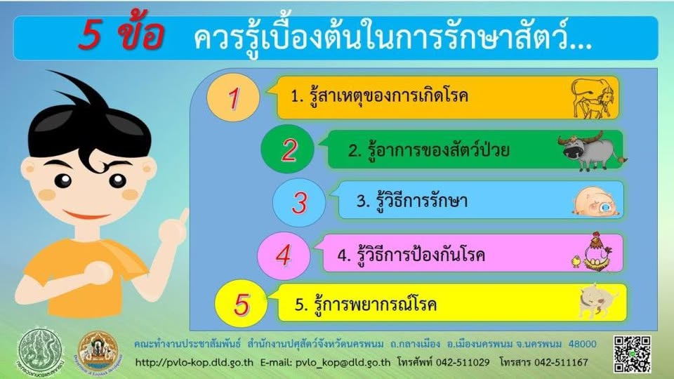 5 ข้อ ควรรู้เบื้องต้นในการรักษาสัตว์