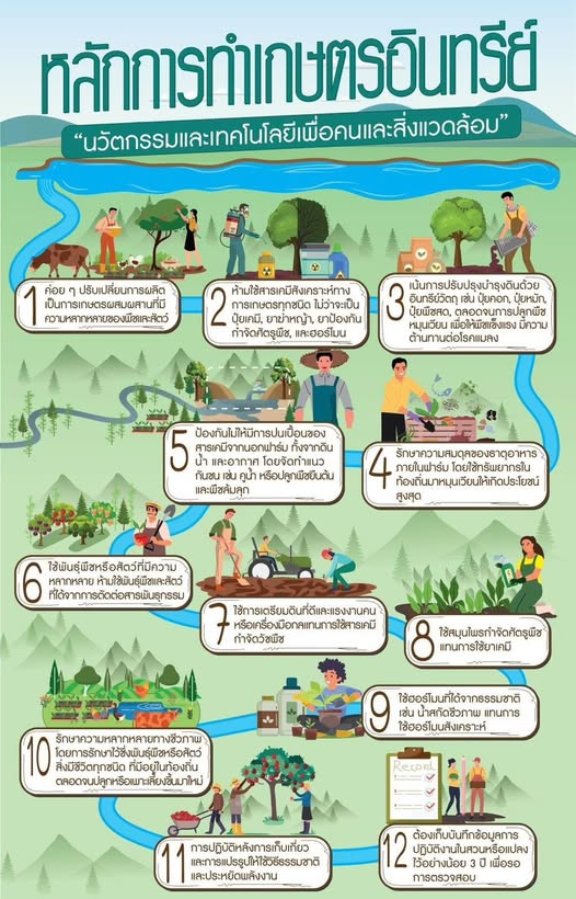 หลักการทำเกษตรอินทรีย์