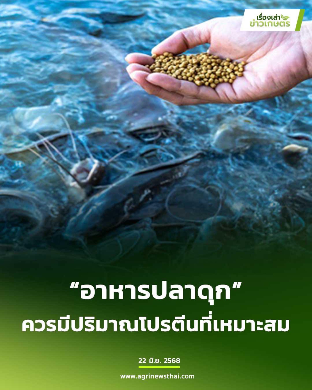 “อาหารปลาดุก” ควรมีปริมาณโปรตีนที่เหมาะสม