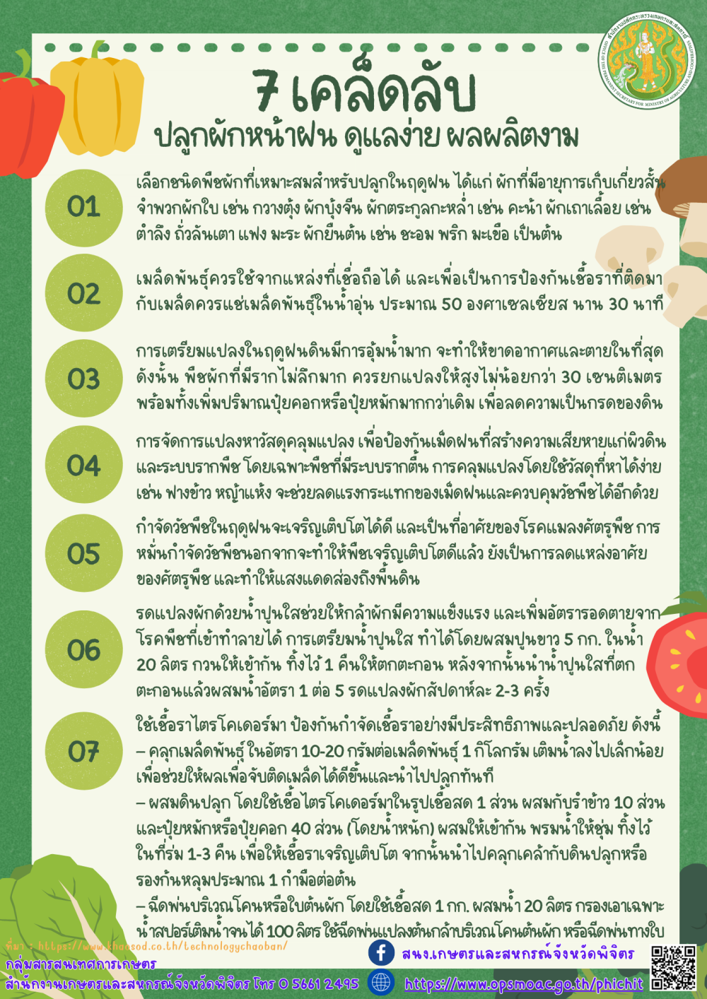 7 เคล็ดลับ ปลูกผักหน้าฝน ดูแลง่าย ผลผลิตงาม