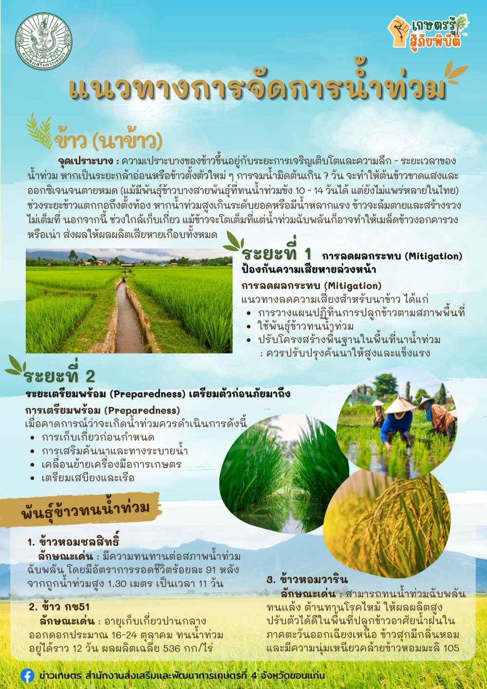 แนะนำแนวทางการจัดการก่อนน้ำท่วม นาข้าว