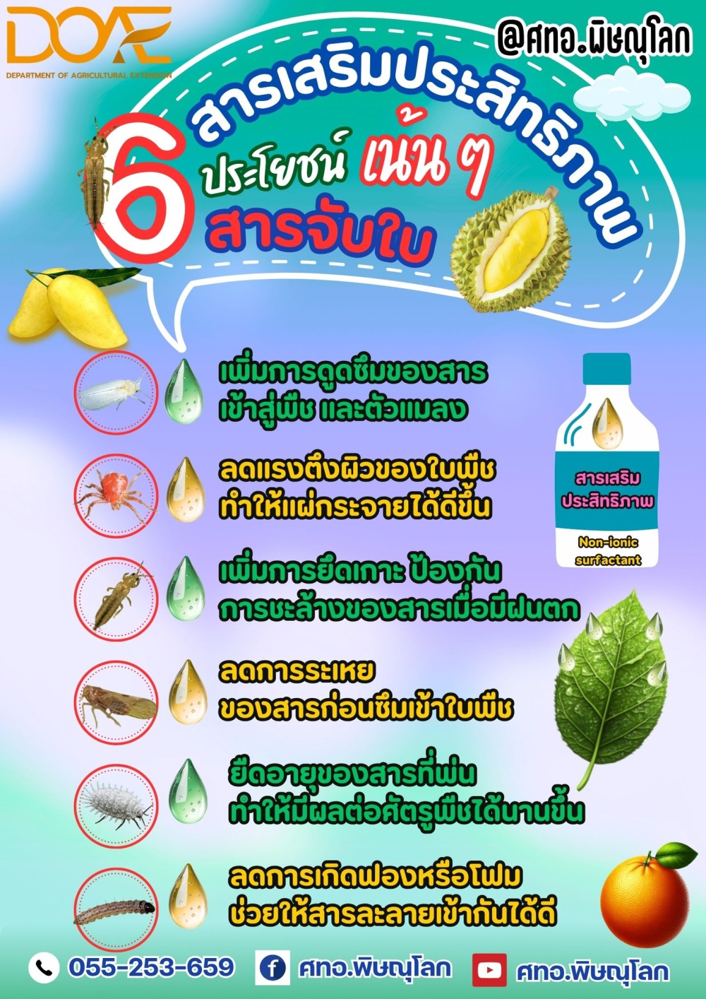 สารเสริมประสิทธิภาพ (Adjuvant) และ สารจับใบ (Sticker / Spreader-Sticker)
