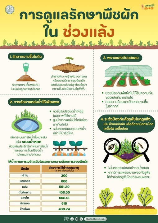 การรักษาพืชผักในช่วงหน้าแล้ง