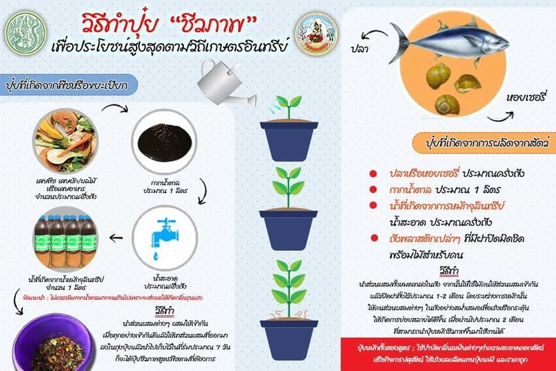 วิธีทำปุ๋ยชีวภาพเพื่อประโยชน์สูงสุดตามวิถีเกษตรอินทรีย์.